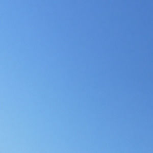 Meet your Posher, Ashlee